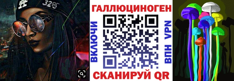 Галлюциногенные грибы Psilocybe наркота Мглин